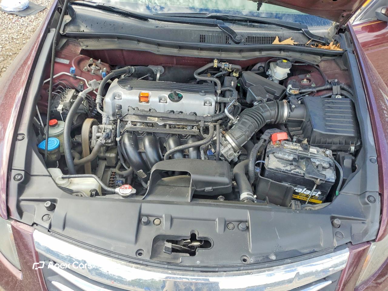 Honda Accord 2010