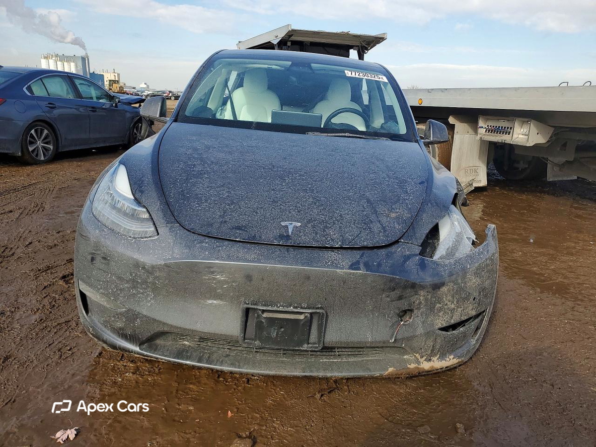 Tesla Model Y 2021