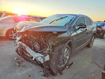 Lexus RX 2021
