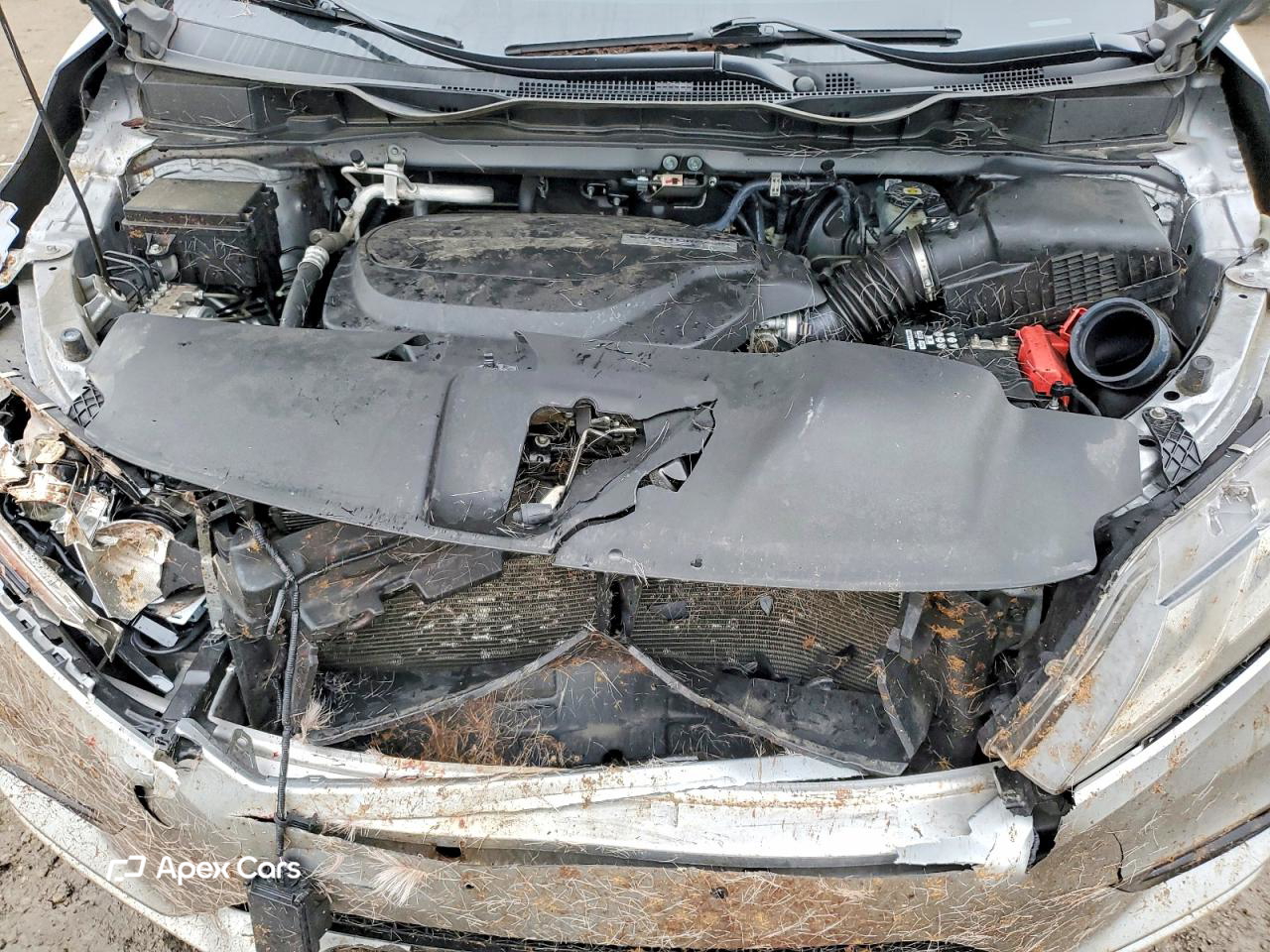 Honda Odyssey 2019