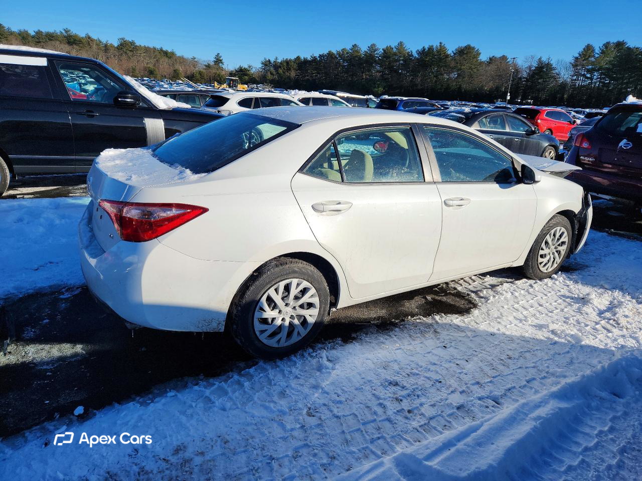 Toyota Corolla 2019