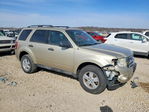 Ford Escape 2010