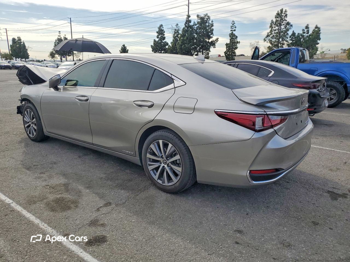 Lexus ES 2020