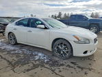 Nissan Maxima 2010