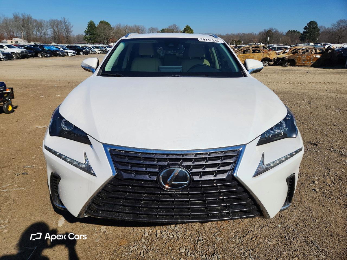 Lexus NX 2019