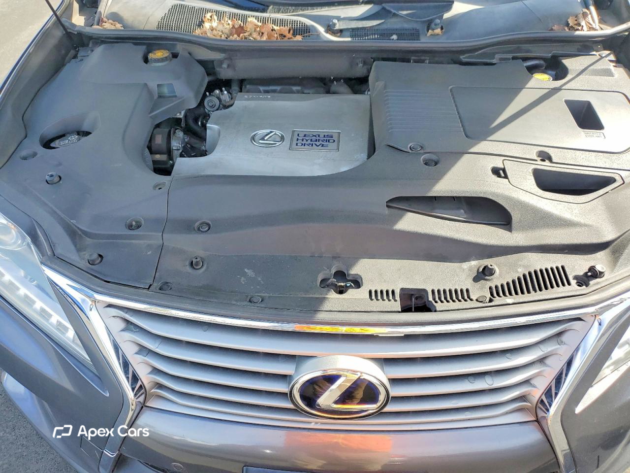 Lexus RX 2013