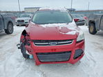 Ford Escape 2013