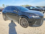 Lexus RX 2024