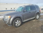 Ford Escape 2012