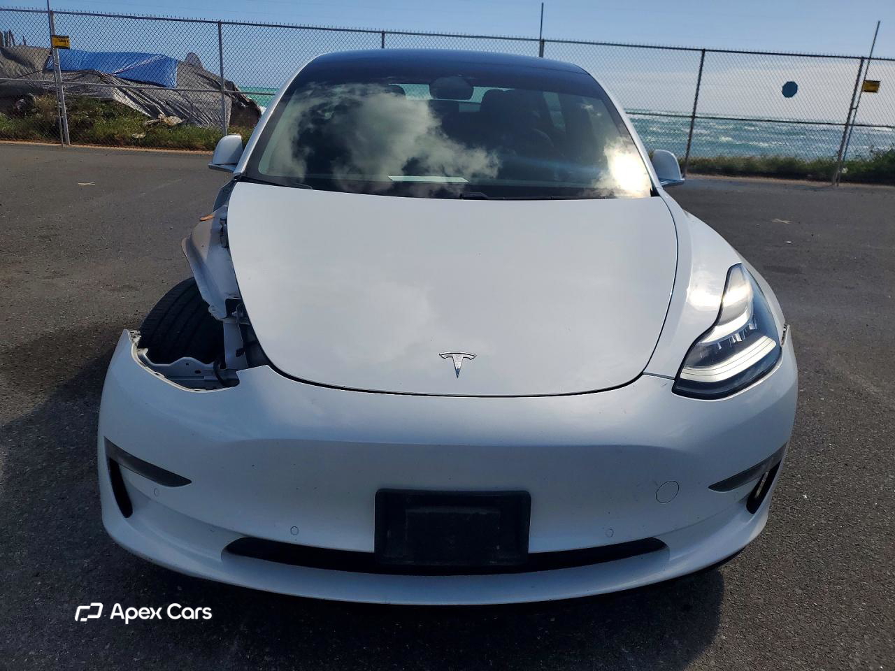 Tesla Model 3 2019