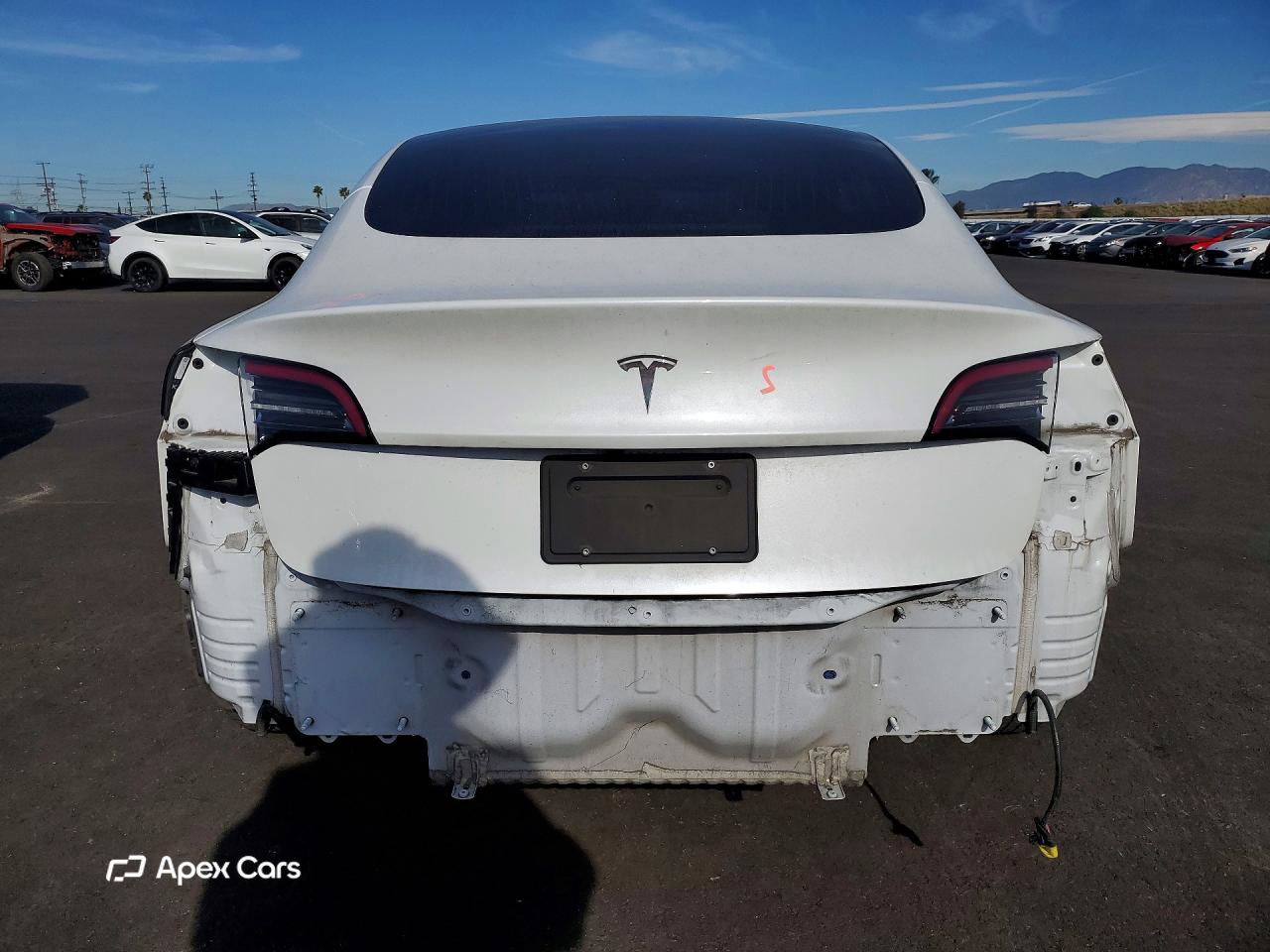 Tesla Model 3 2019