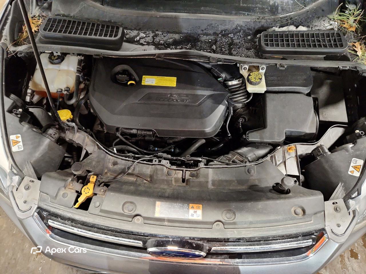 Ford Escape 2014