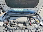 Dodge Hornet 2024