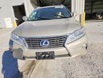 Lexus RX 2013