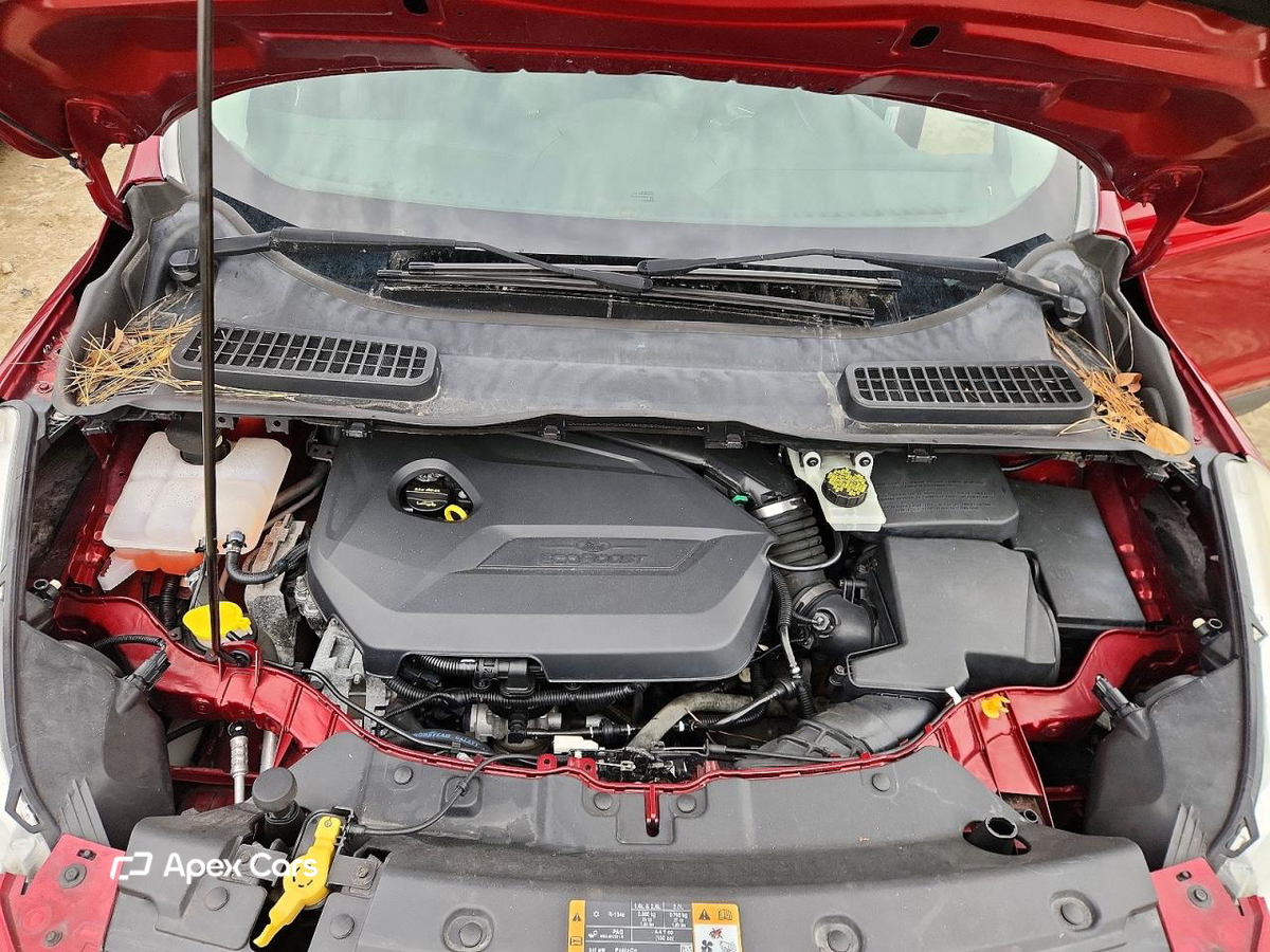 Ford Escape 2014