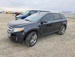 Ford Edge 2012