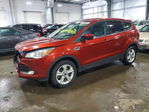 Ford Escape 2016