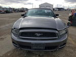 Ford Mustang 2014