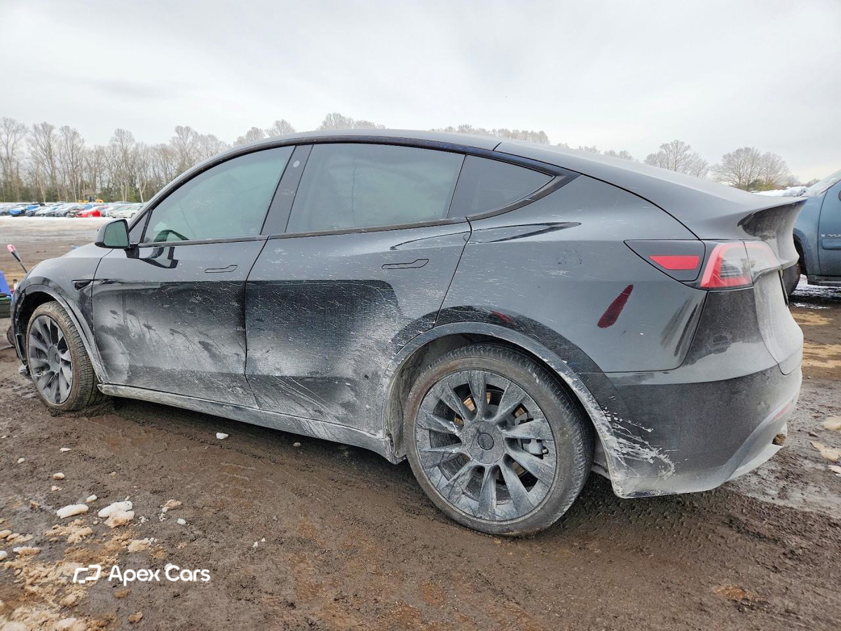 Tesla Model Y 2021