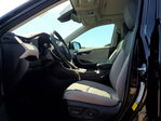 Toyota RAV 4 2025