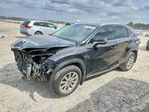 Lexus NX 2021