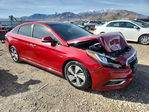 Hyundai  2016