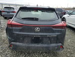 Lexus UX 2023