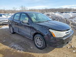 Ford Focus 2010