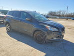 Ford Escape 2016