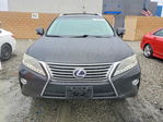 Lexus RX 2015