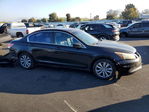 Honda Accord 2011
