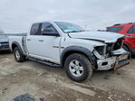 Dodge RAM 2010