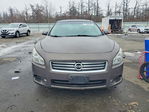 Nissan Maxima 2014