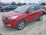 Ford Escape 2014