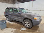 Ford Escape 2007