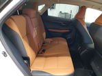 Lexus NX 2020