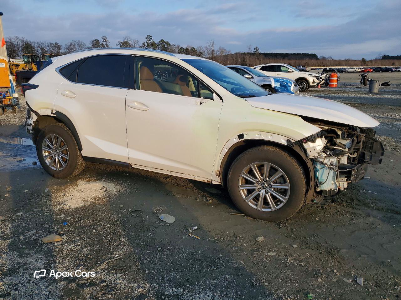 Lexus NX 2019