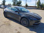 Tesla Model 3 2025