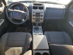 Ford Escape 2010