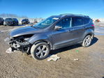 Ford Escape 2013