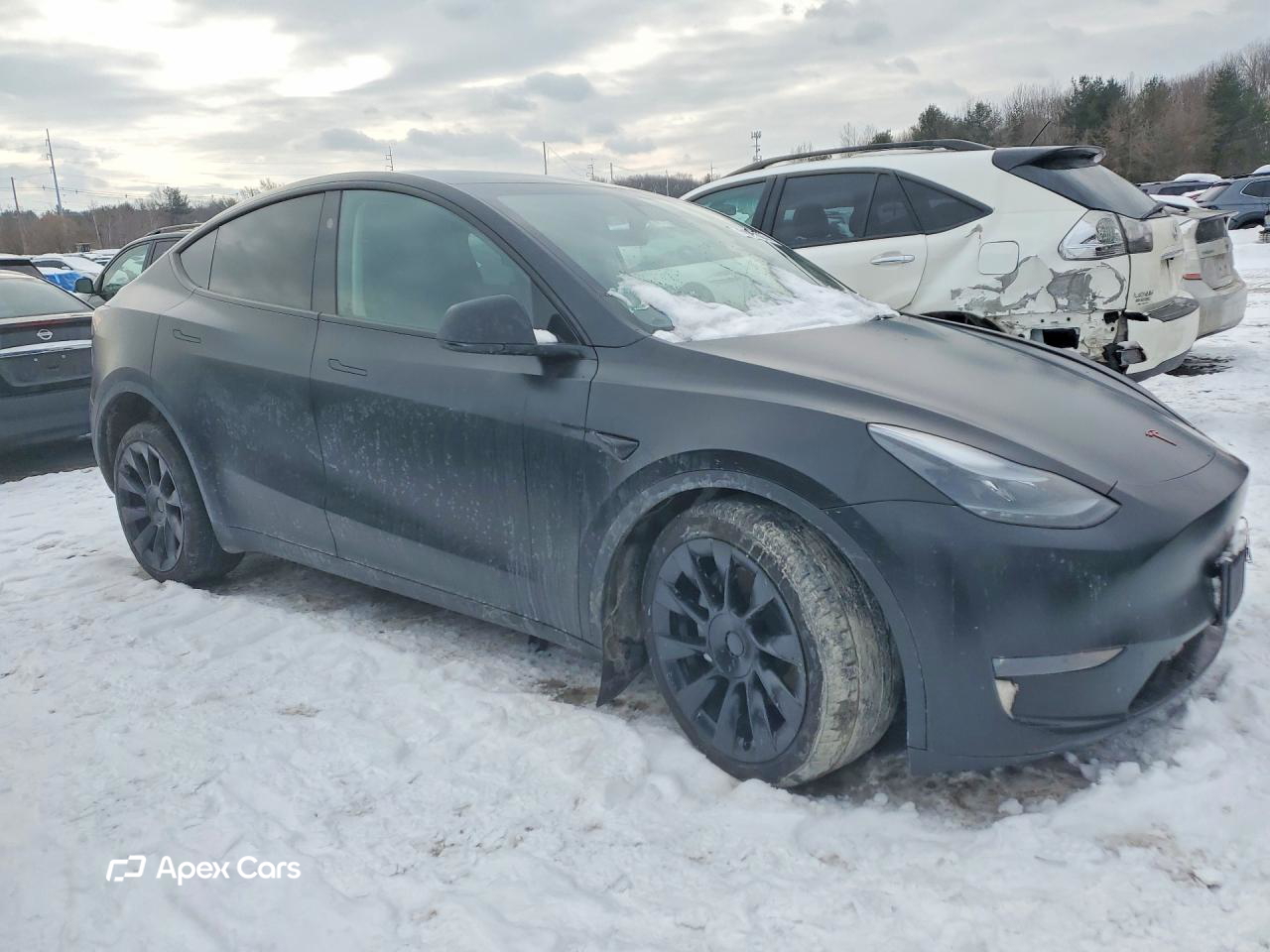 Tesla Model Y 2024