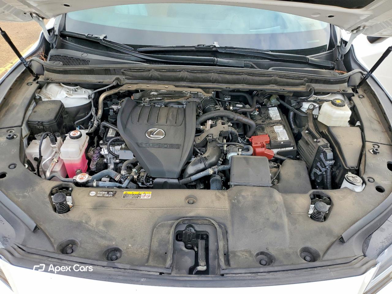 Lexus RX 2023