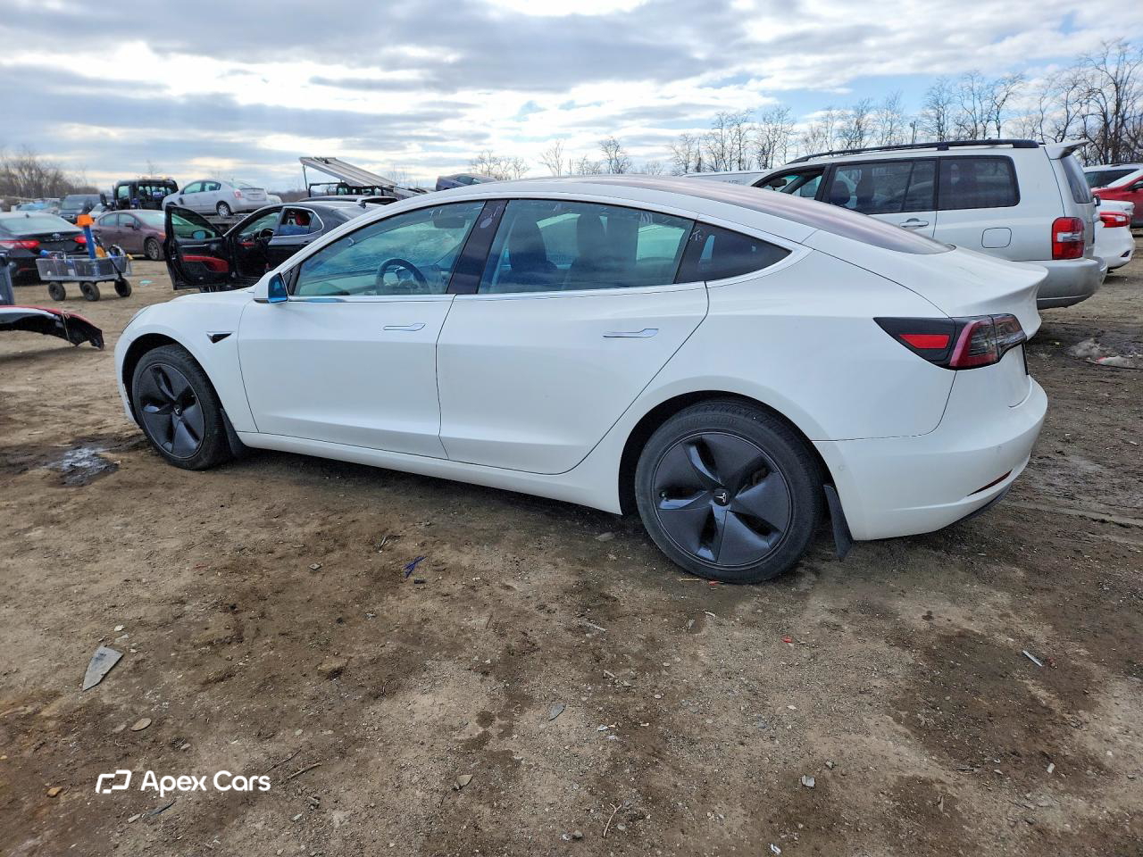 Tesla Model 3 2019