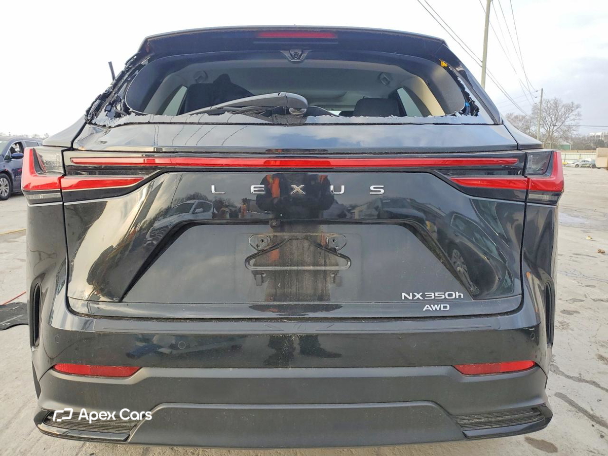 Lexus NX 2024