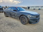 Dodge Charger 2017