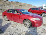 Lexus ES 2014