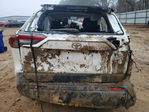 Toyota RAV 4 2024