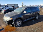 Ford Edge 2010