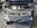 Lexus RX 2021