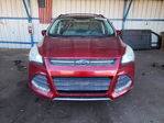 Ford Escape 2013